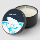 Search for polar bears favors Arctic