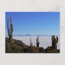 Search for bolivia postcards Travel