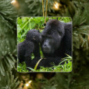 Search for gorilla ornaments Wildlife