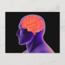 Search for neuroscience gifts Neuroanatomy