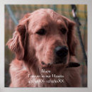 Search for pet memorial posters Rainbow bridge