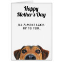 Search for funny dog mothers day cards From the dog