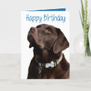 Search for black lab birthday cards Black labrador retriever
