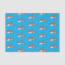 Search for sharks tissue paper Illustration