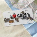 Search for cat plates Animal