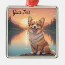 Search for pembroke welsh corgi ornaments Pet