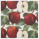 Search for apple fabric food