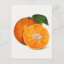 Search for vintage food postcards Fruit