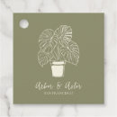 Search for olive favor tags Botanical