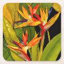 Search for bird coasters Tropical