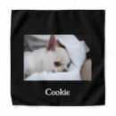 Search for photo dog bandanas Puppy