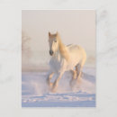 Search for horse postcards Winter