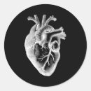 Search for biology stickers Anatomy