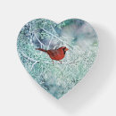 Search for red cardinal paperweight paperweights Wildlife