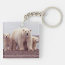 Search for polar bear keychains Bears