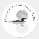 Search for loon bird stickers Duck