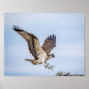 Search for 14x11 posters Animal