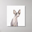 Search for sphynx cat art Nature