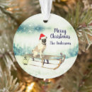 Search for pug ornaments Snow