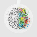 Search for brain ornaments Human