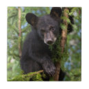 Search for wildlife tiles Baby