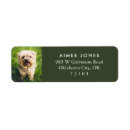 Search for photo return address labels White
