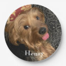 Search for party animal plates Pet