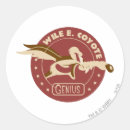 Search for wile e coyote Looney tunes coyote