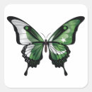 Search for pakistan flags crafts party Pride