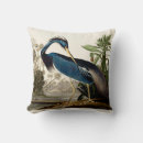 Search for louisiana pillows Blue heron