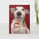Search for jack russell christmas cards Animal