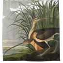 Search for birds shower curtains Audubon
