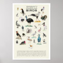 Search for bird lover gifts Wildlife