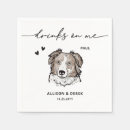 Search for border collies crafts party Pet