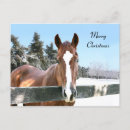 Search for equine christmas cards Merry