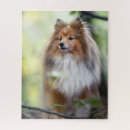Search for sheltie puzzles Cute