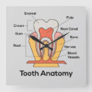 Search for tooth clocks Dental