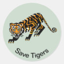 Search for tiger stickers Wildcat
