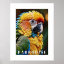 Search for parrot posters Birds