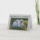 Search for dog mothers day cards Fun