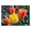Search for 7x5 posters Floral
