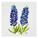 Search for texas posters Watercolor