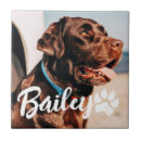 Search for dog tiles Create your own