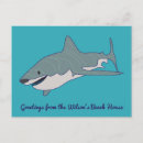 Search for message postcards Ocean