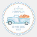 Search for little pumpkin on the way Orange