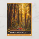 Search for vintage national park postcards Classic