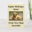 Search for from the dog birthday cards cute