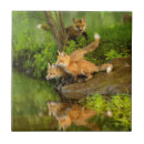 Search for wildlife tiles Captive