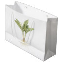 Search for plant gift bags Fruit