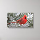 Search for cardinal painting canvas prints Winter